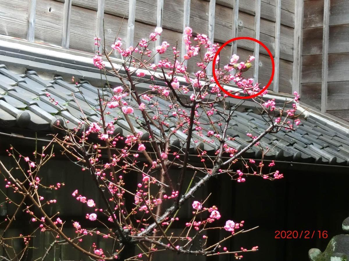Hoshidekan Ise Exterior foto